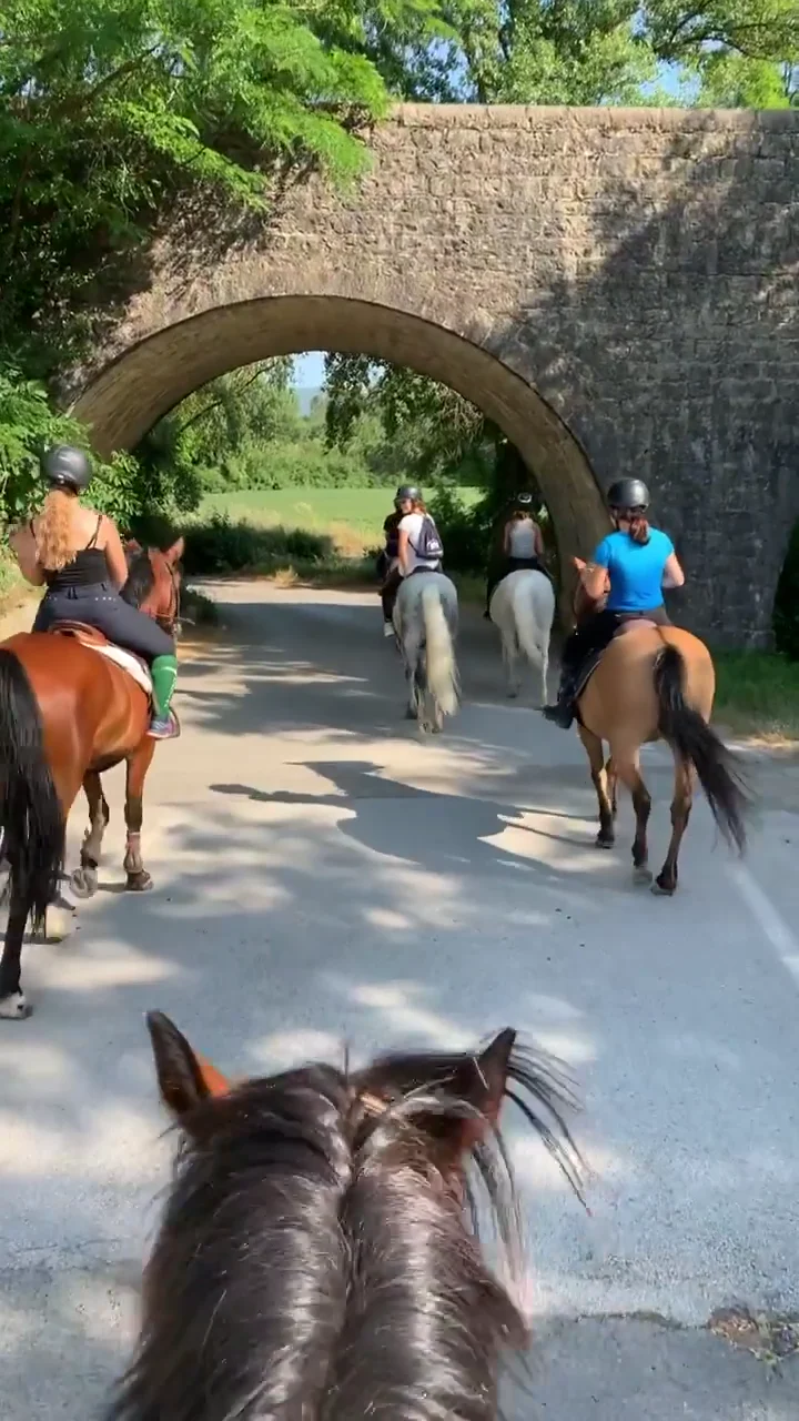 Des cavaliers passent sous un pont de pierre, vus depuis la selle