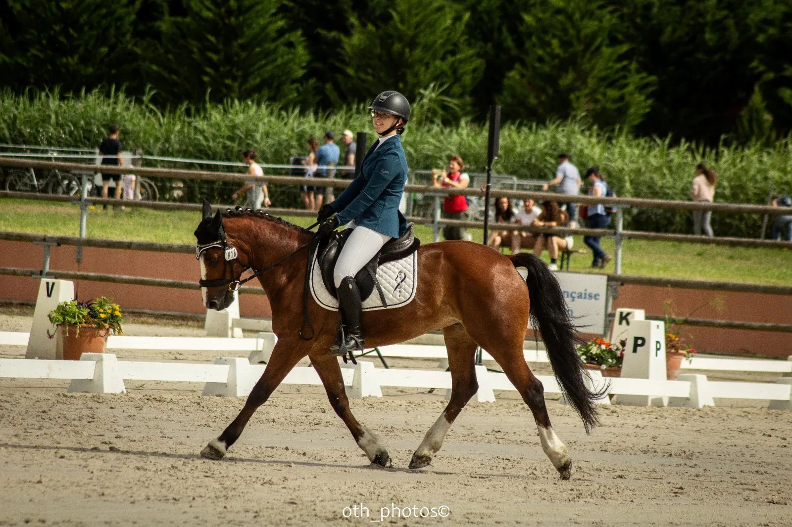 Une cavalière et son cheval bai en mouvement dans un carré de dressage