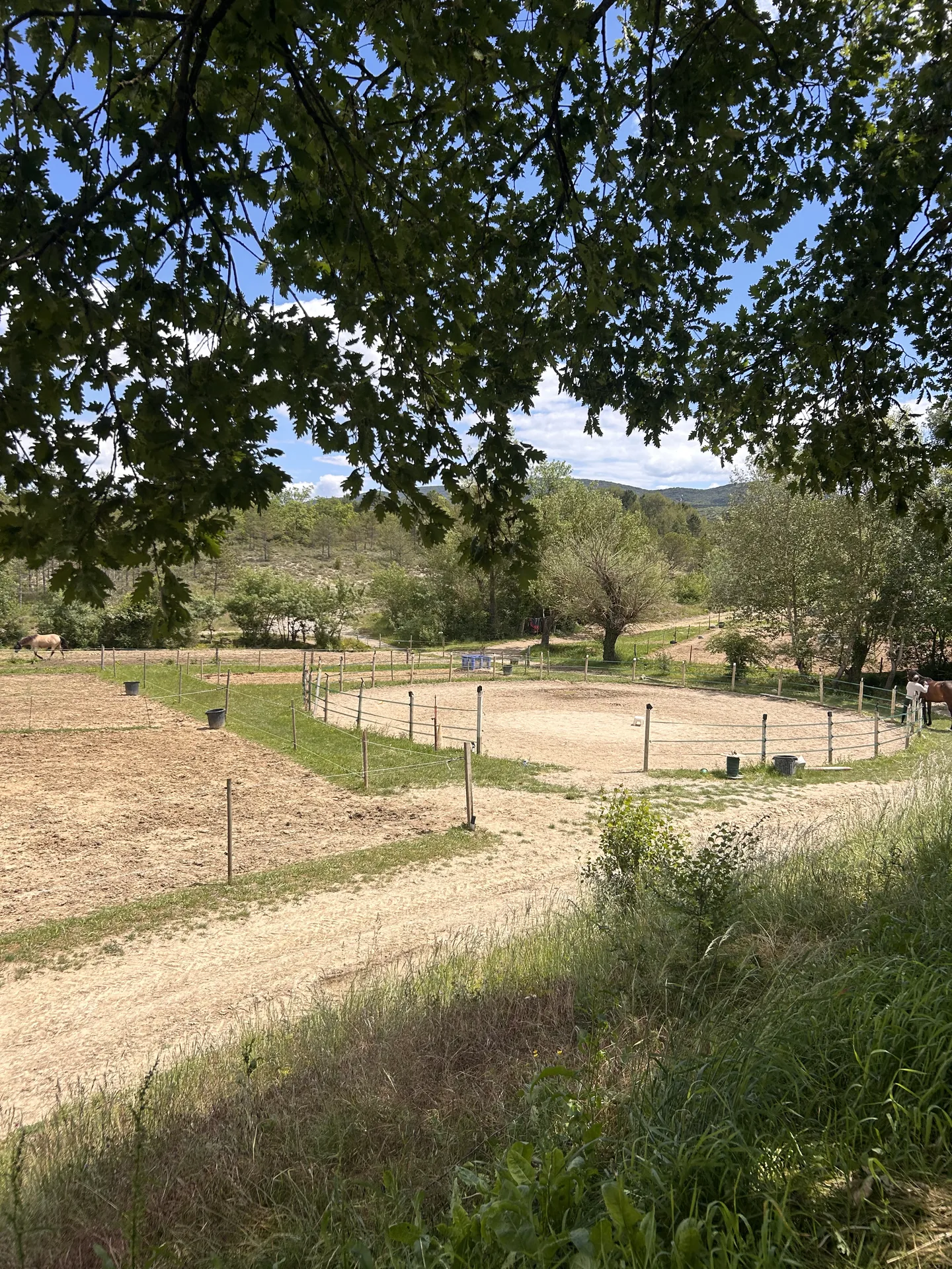 La carrière entourée de prés, vue à l’ombre des arbres