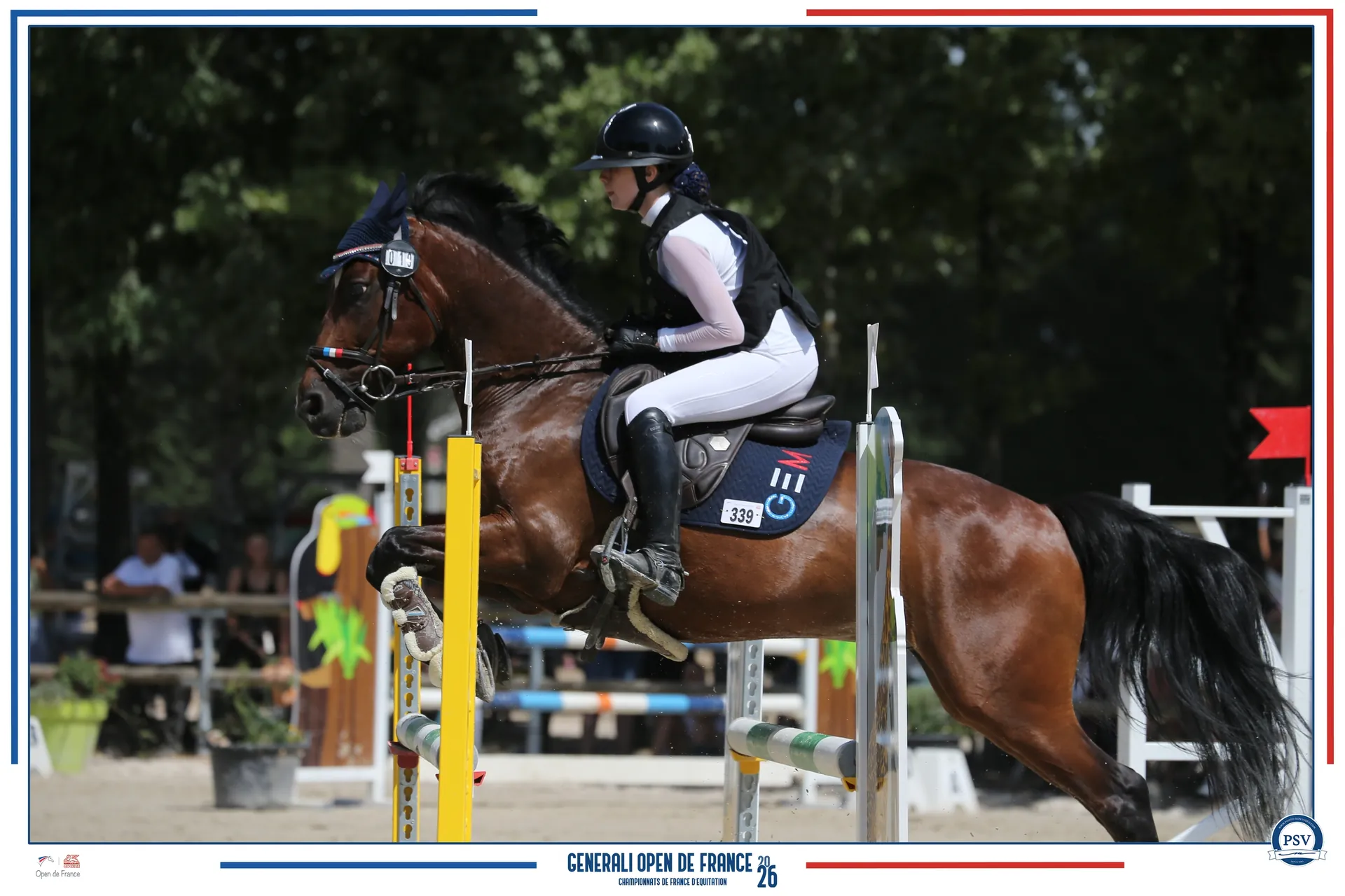 Une cavalière et son cheval bai franchissent un obstacle en concours