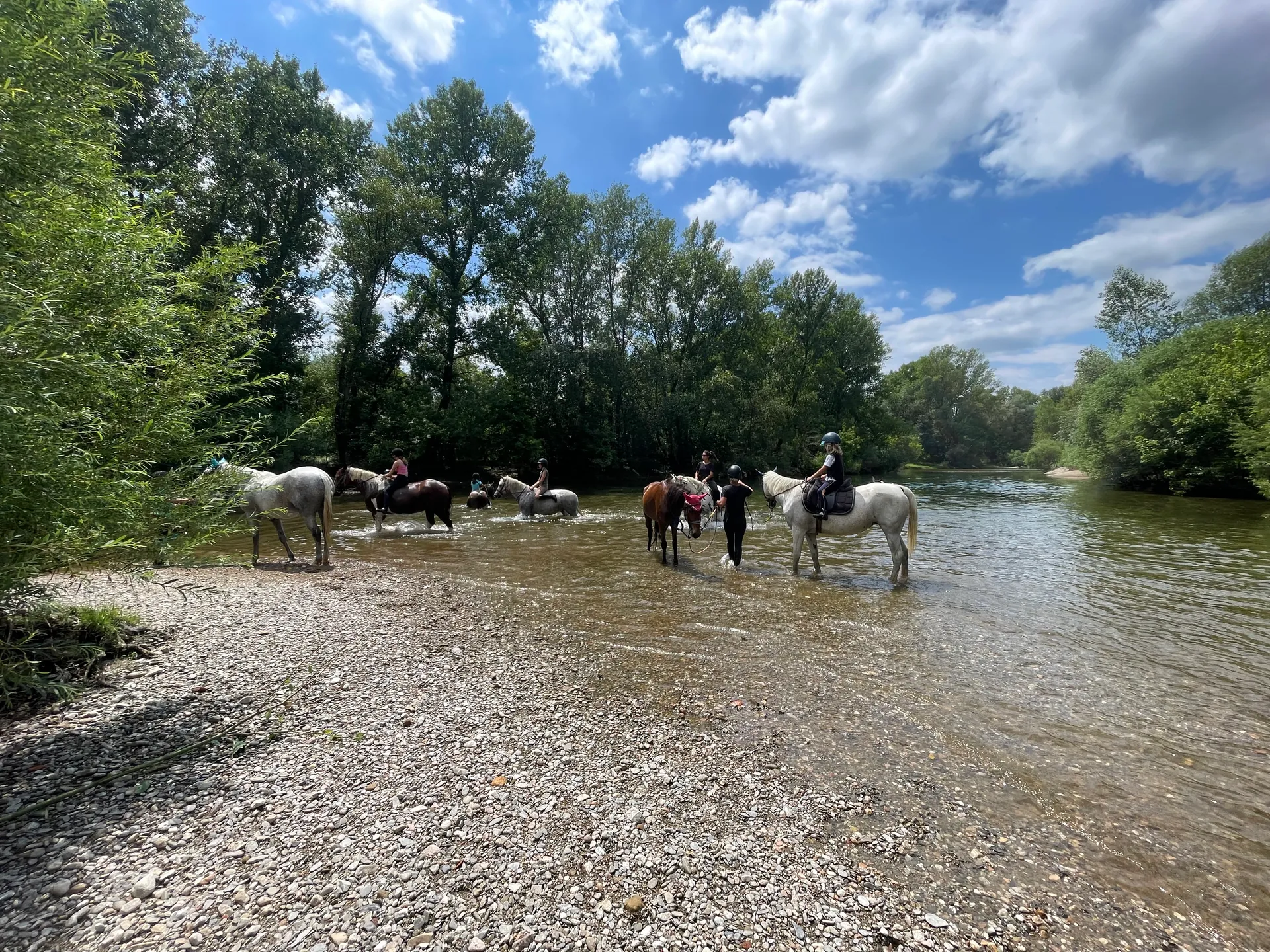 Un groupe de cavaliers et leurs chevaux dans une rivière bordée d’arbres sous un ciel bleu