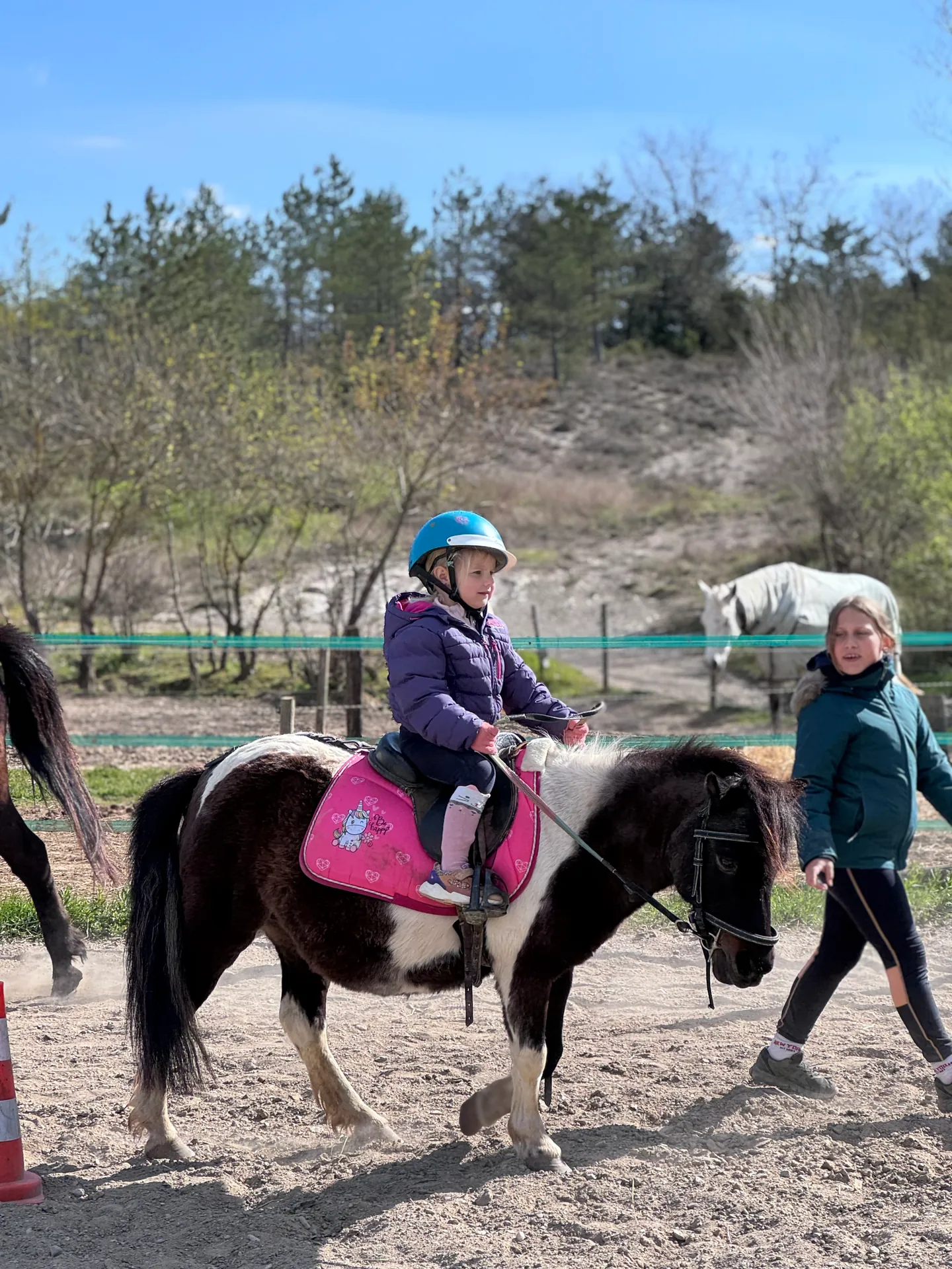 Une enfant casquée à poney, accompagnée à pied dans la carrière