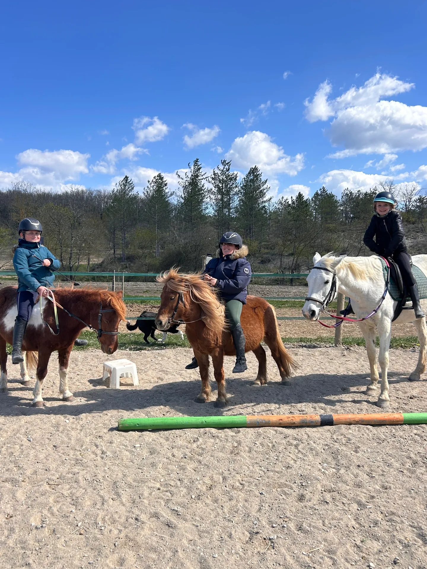 Trois jeunes cavaliers à poney réunis autour de barres au sol dans la carrière