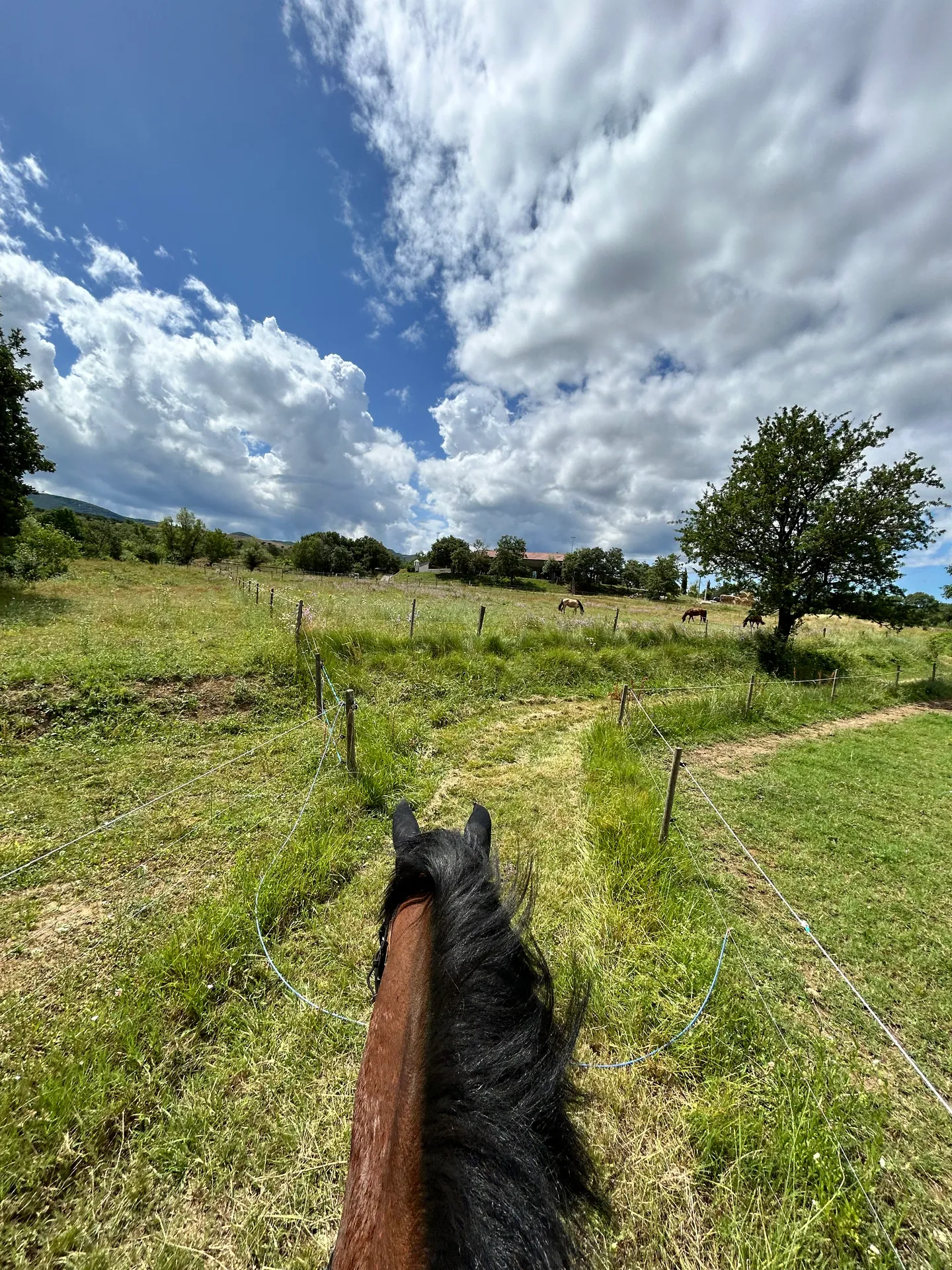Un sentier entre des prés verdoyants sous un ciel nuageux, vu depuis la selle