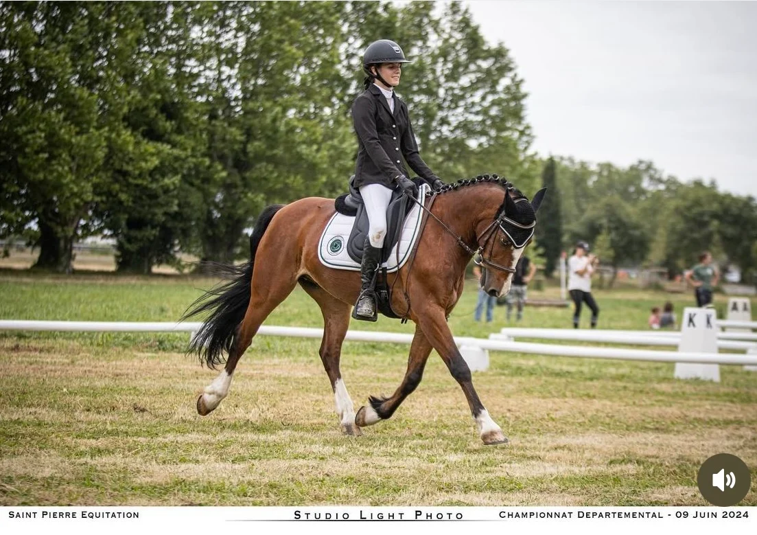 Une cavalière en tenue de dressage et son cheval bai en mouvement sur une carrière en herbe
