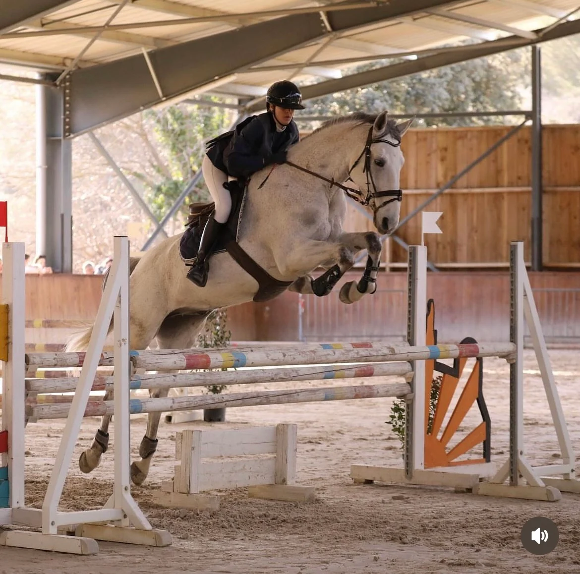 Un cavalier et son cheval gris franchissant un obstacle dans un manège couvert