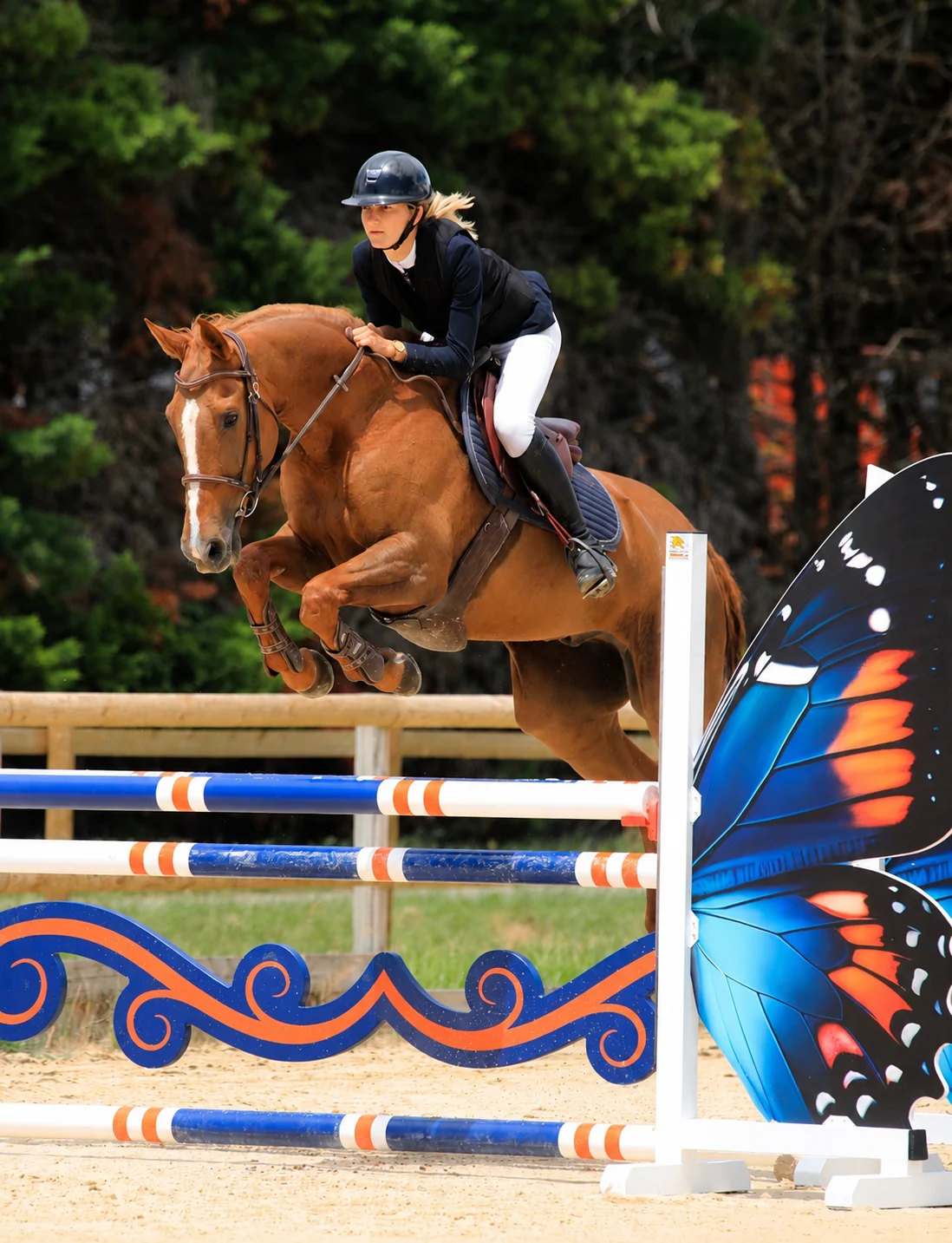 Une cavalière et son cheval alezan en plein saut au-dessus d’un obstacle orné d’une aile de papillon