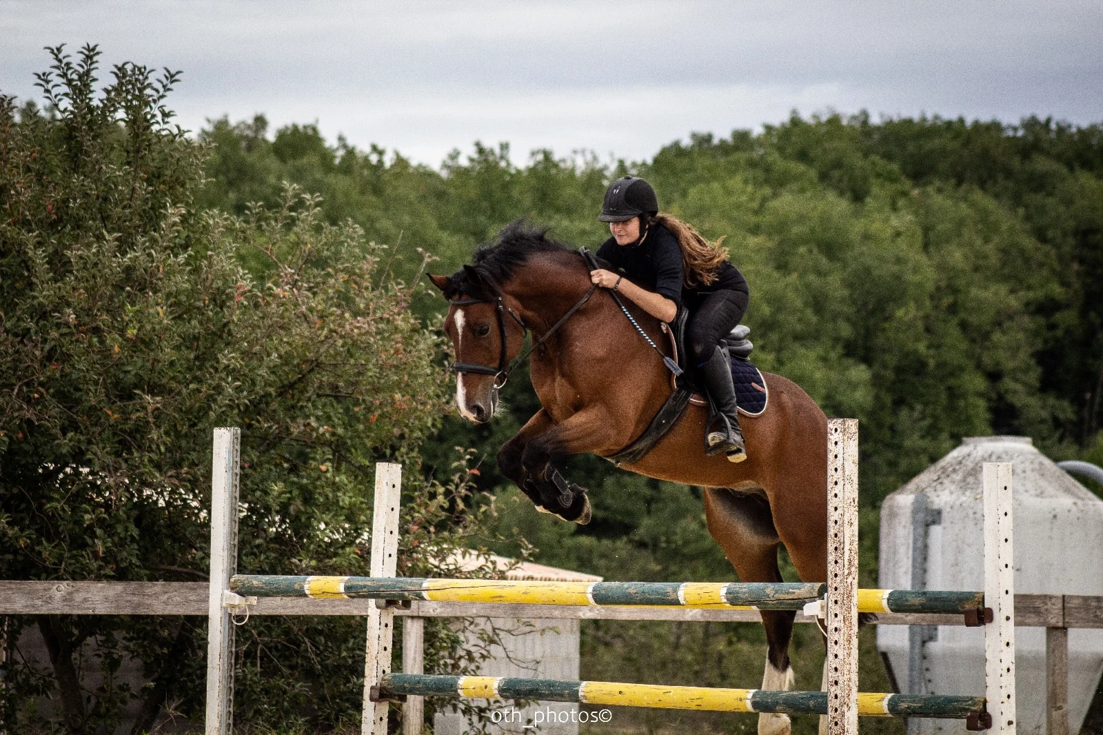 Une cavalière et son cheval bai en plein saut au-dessus d’un obstacle de barres jaunes et vertes