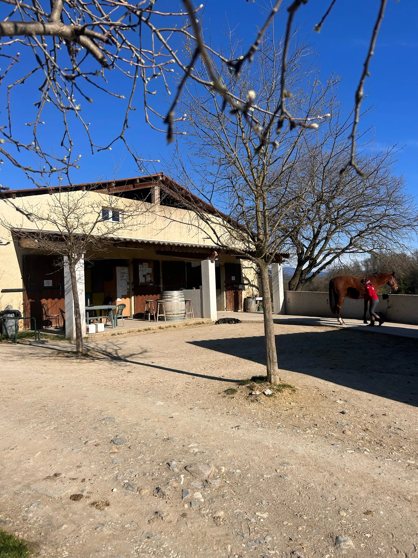 La façade du centre avec son auvent et un cheval accompagné dans la cour