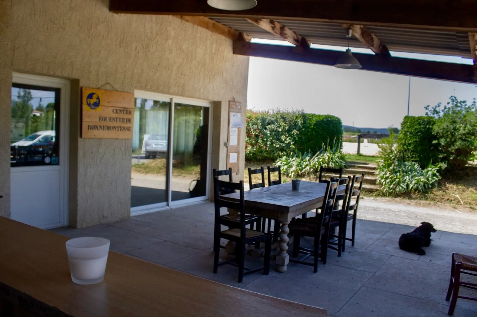 La terrasse couverte et sa grande table en bois, avec un chien allongé à l’ombre